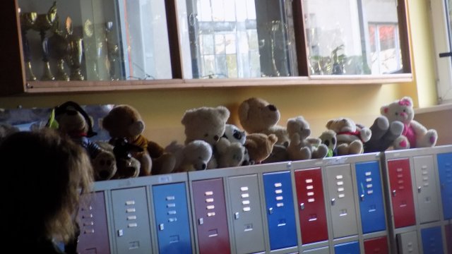 Dzień pluszowego misia 2017