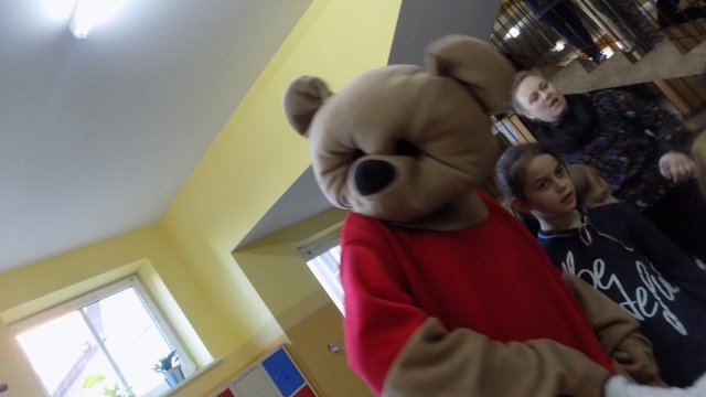 Dzień pluszowego misia 2017