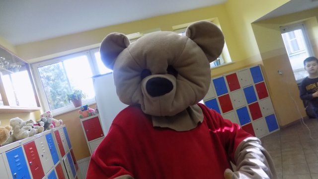 Dzień pluszowego misia 2017