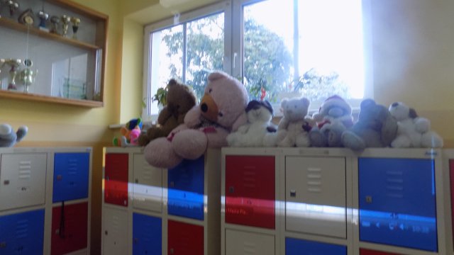 Dzień pluszowego misia 2017