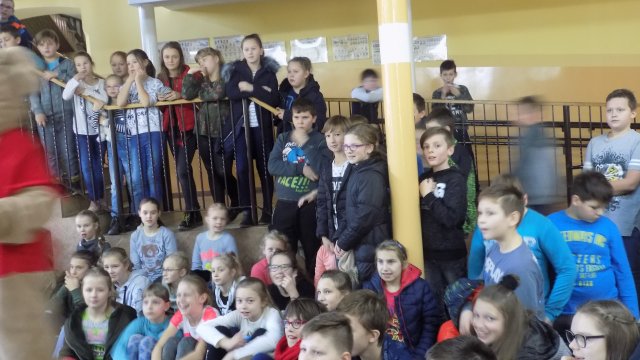 Dzień pluszowego misia 2017