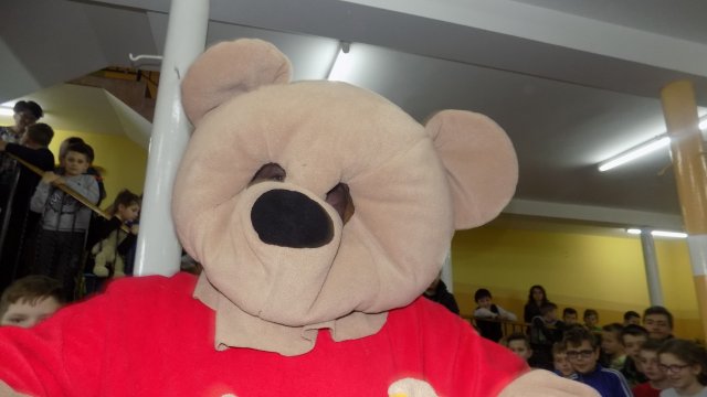 Dzień pluszowego misia 2017