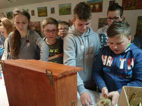 Wycieczka do zagrody Pszczółki przyjaciółki