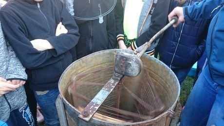 Wycieczka do zagrody Pszczółki przyjaciółki