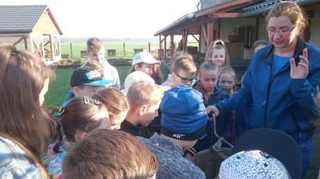 Wycieczka do zagrody Pszczółki przyjaciółki