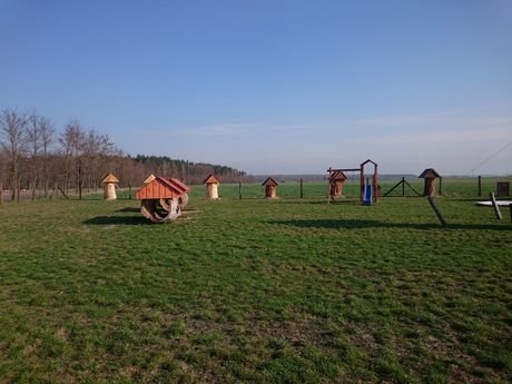 Wycieczka do zagrody Pszczółki przyjaciółki