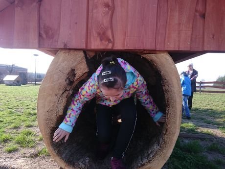 Wycieczka do zagrody Pszczółki przyjaciółki